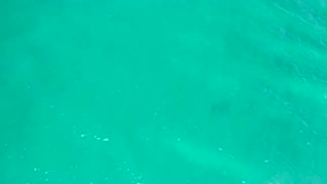 SAN JOSE DEL CABO MEXICO-2020: A Serene Underwater Scene with Bubbles and Green Water