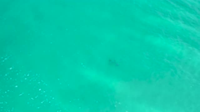 SAN JOSE DEL CABO MEXICO-2020: Crystal Clear Water Stumbled By The Wind Where A