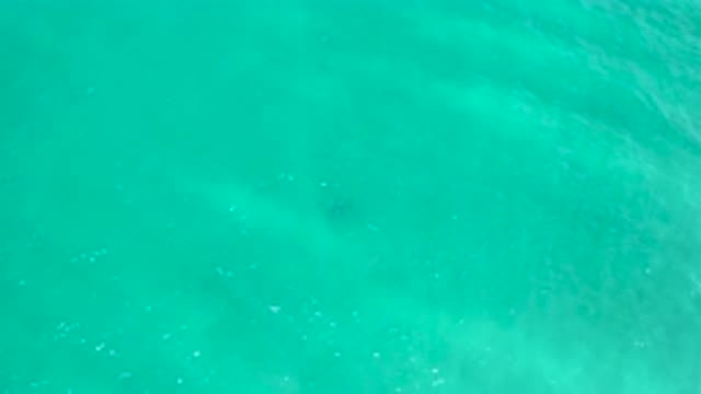 SAN JOSE DEL CABO MEXICO-2020: Water Blue Crystal Shore Sparkling Foamy Sea