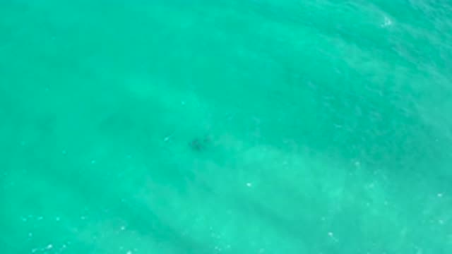SAN JOSE DEL CABO MEXICO-2020: Video Showing A Movement Of Water Body Under The