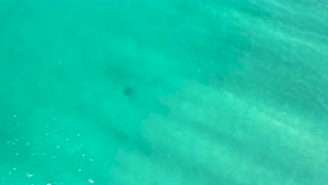 SAN JOSE DEL CABO MEXICO-2020: Clear and Green and Deep Ocean