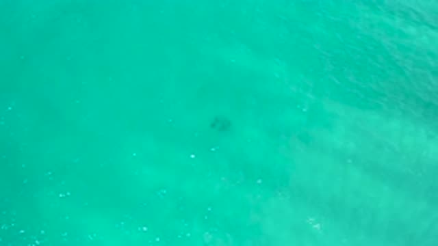 SAN JOSE DEL CABO MEXICO-2020: A Beautiful Clean Ocean