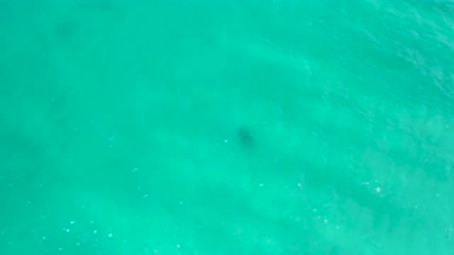 SAN JOSE DEL CABO MEXICO-2020: Crystal Clear Blue Sea Water With Mild Waves