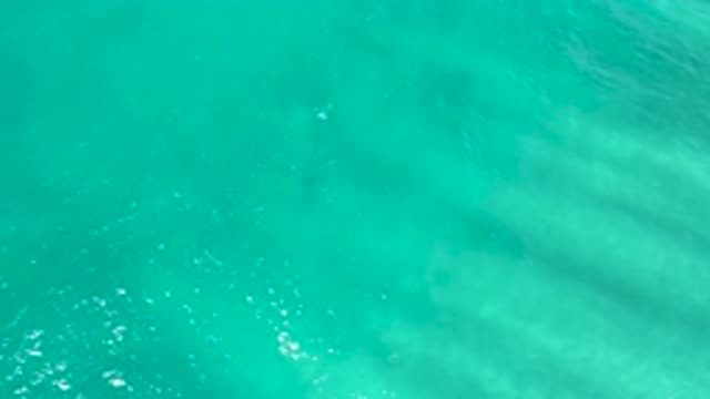 SAN JOSE DEL CABO MEXICO-2020: Wonderful And Unforgettable Clean Blue Sea Off