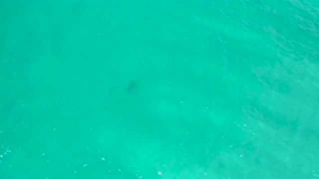 SAN JOSE DEL CABO MEXICO-2020: Abstract Movements of Light and Water