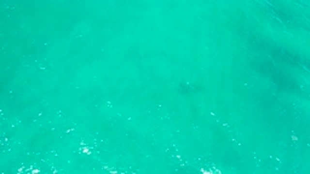 SAN JOSE DEL CABO MEXICO-2020: Clean Water In The Ocean
