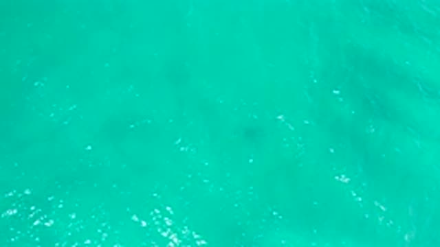 SAN JOSE DEL CABO MEXICO-2020: The Beautiful Clear Water Looks Green With No People