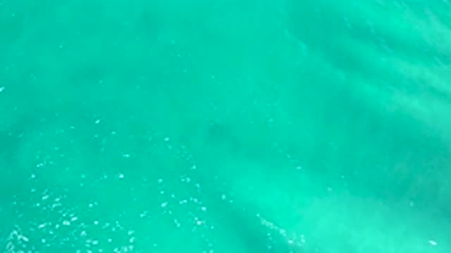 SAN JOSE DEL CABO MEXICO-2020: A Pure Green And Deep Ocean