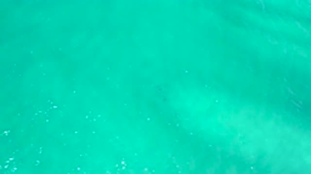SAN JOSE DEL CABO MEXICO-2020: Beautiful Video Of Water Sparkling In The Sun