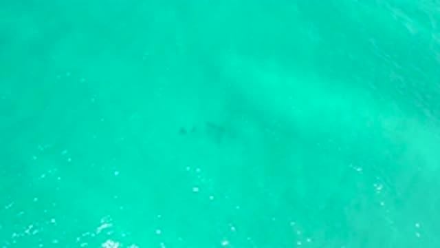 SAN JOSE DEL CABO MEXICO-2020: Aerial View Of Turquoise Ocean Waves
