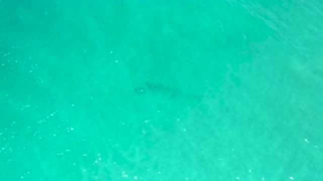 SAN JOSE DEL CABO MEXICO-2020: Calm Turquoise Sea Waves Rolling Along Shore