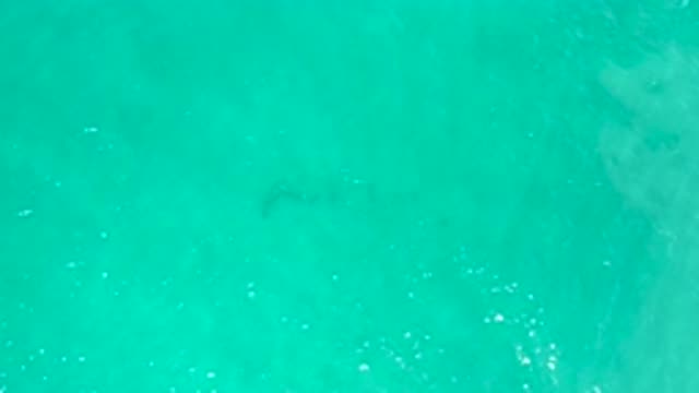 SAN JOSE DEL CABO MEXICO-2020: We Love Swimming In The Ocean When On Vacation