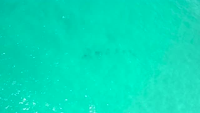 SAN JOSE DEL CABO MEXICO-2020: Brilliantly Green And Deep Warm Ocean Waters