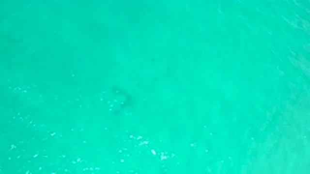 SAN JOSE DEL CABO MEXICO-2020: Sparkling Green Water Glistens and Softly Moves