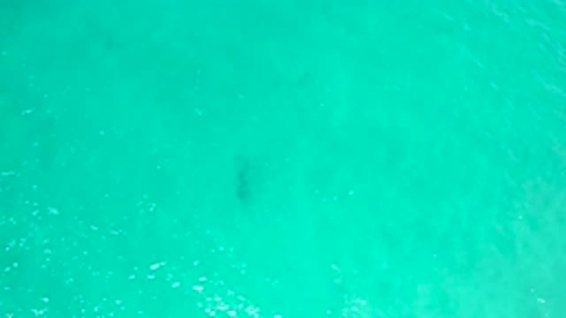 SAN JOSE DEL CABO MEXICO-2020: Crystal Clear Water You Must Visit This Summer