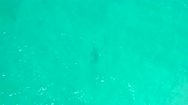 SAN JOSE DEL CABO MEXICO-2020: Sunlight Reflecting On The Ocean Water