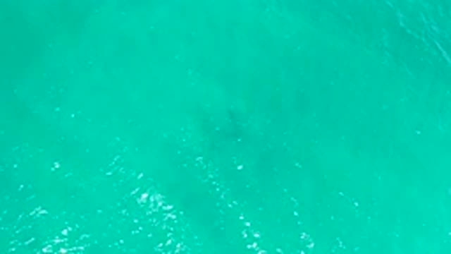 SAN JOSE DEL CABO MEXICO-2020: An Overhead View Of A Teal Blue Large Body Of Water