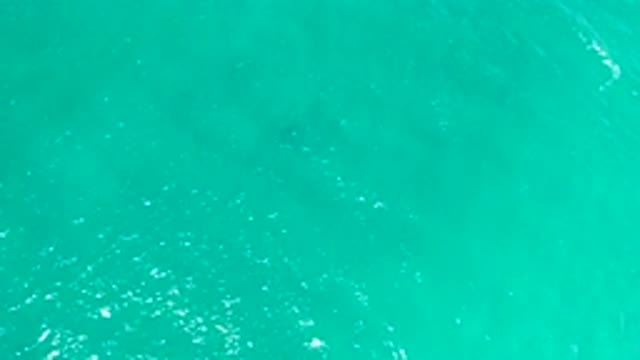 SAN JOSE DEL CABO MEXICO-2020: Shadow Moving Under The Calm Waters In The Middle