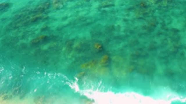 SHIPWRECKS BEACH BCS MEXICO-2020: Waves Crashing Over Coral Rocks And Sea Life