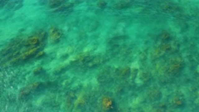 SHIPWRECKS BEACH BCS MEXICO-2020: Greenish Blue Waves Crashing On The Coral