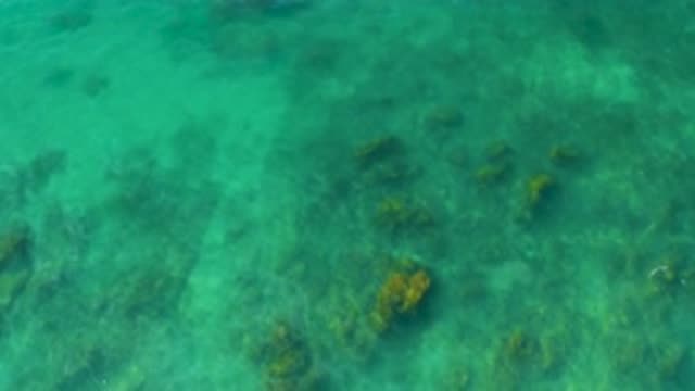 SHIPWRECKS BEACH BCS MEXICO-2020: Rocks And Corals Scattered Throughout The Seabed
