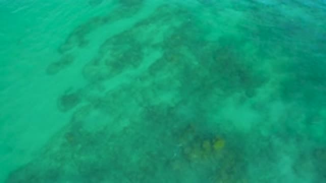 SHIPWRECKS BEACH BCS MEXICO-2020: Beautiful Blue Ocean Water With A Soft Current