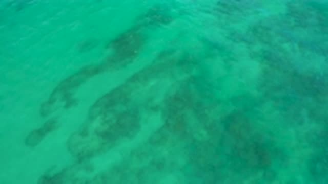 SHIPWRECKS BEACH BCS MEXICO-2020: Six Second Ocean Fly Over