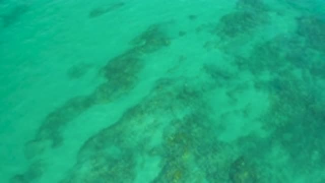 SHIPWRECKS BEACH BCS MEXICO-2020: Calming Quiet Green Ocean Water Gentle Waves