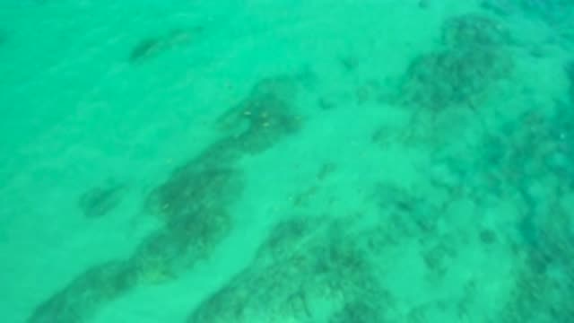 M12-20-0182-07-29-20-2020-shipwrecks-beach-bcs-mexico-DJI_0765_0001.mp4