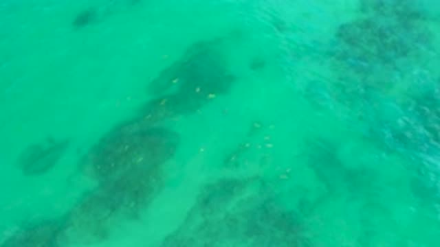 SHIPWRECKS BEACH BCS MEXICO-2020: Overhead Footage Of Bright Green-Blue Water