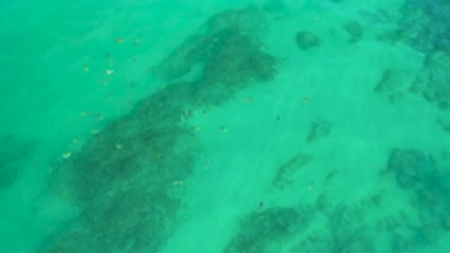 SHIPWRECKS BEACH BCS MEXICO-2020: Beautiful Mint Green Tranquil Ocean Water With