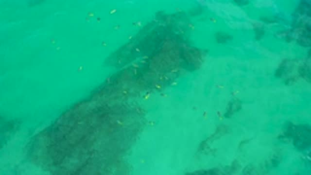 SHIPWRECKS BEACH BCS MEXICO-2020: Beautiful Tropical Green Water With Fish And Rolling Waves