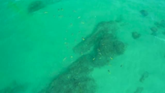 SHIPWRECKS BEACH BCS MEXICO-2020: Top View Of Cyan Sea With Fish In The