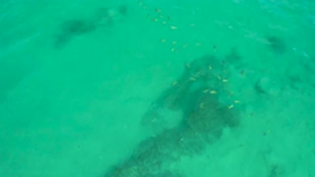 SHIPWRECKS BEACH BCS MEXICO-2020: Under the Beautiful Sea