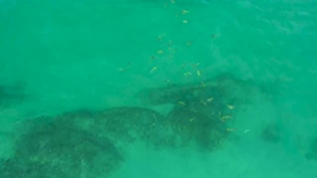 M12-20-0199-07-29-20-2020-shipwrecks-beach-bcs-mexico-DJI_0766_0004.mp4