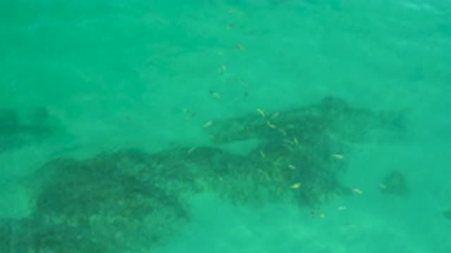 SHIPWRECKS BEACH BCS MEXICO-2020: Most Beautiful Place To Spend The Summer