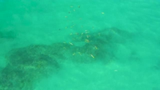 M12-20-0202-07-29-20-2020-shipwrecks-beach-bcs-mexico-DJI_0766_0007.mp4