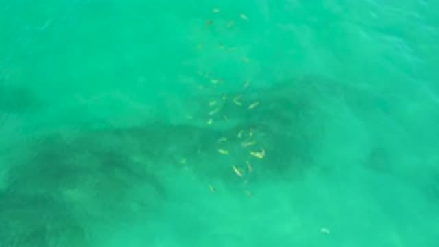 M12-20-0203-07-29-20-2020-shipwrecks-beach-bcs-mexico-DJI_0766_0008.mp4