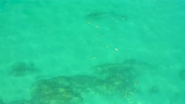 SHIPWRECKS BEACH BCS MEXICO-2020: A Green And Deep Ocean