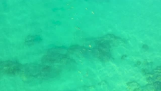 M12-20-0209-07-29-20-2020-shipwrecks-beach-bcs-mexico-DJI_0767_0003.mp4