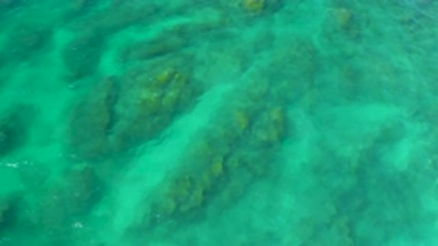 SHIPWRECKS BEACH BCS MEXICO-2020: View Of The Beautiful Coral Reef From The Surface
