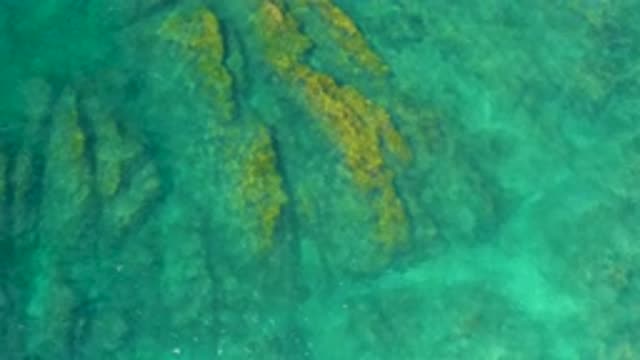 SHIPWRECKS BEACH BCS MEXICO-2020: The Sea Water Flowing Through The Plants