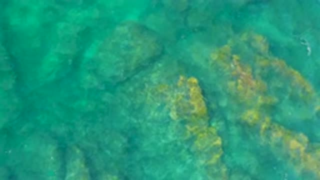 SHIPWRECKS BEACH BCS MEXICO-2020: Focusing Sea Surface From Top