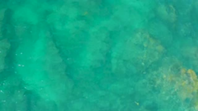 SHIPWRECKS BEACH BCS MEXICO-2020: Blue Sea Bottom Crystal Water Yellow Fish