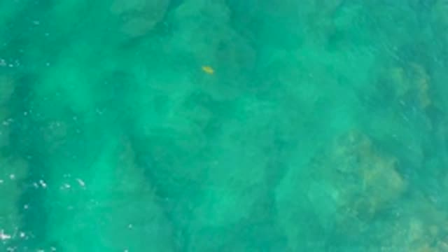 M12-20-0251-07-29-20-2020-shipwrecks-beach-bcs-mexico-DJI_0779_0005.mp4