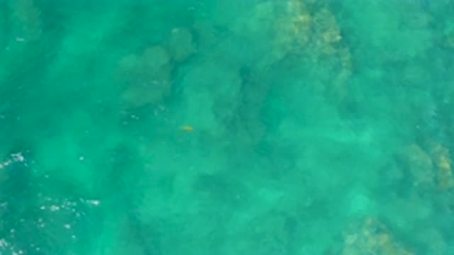 SHIPWRECKS BEACH BCS MEXICO-2020: Calm And Peaceful Green Ocean Water With Small Fish