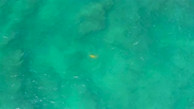 SHIPWRECKS BEACH BCS MEXICO-2020: A Deep Green Ocean