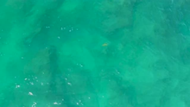 M12-20-0255-07-29-20-2020-shipwrecks-beach-bcs-mexico-DJI_0779_0009.mp4