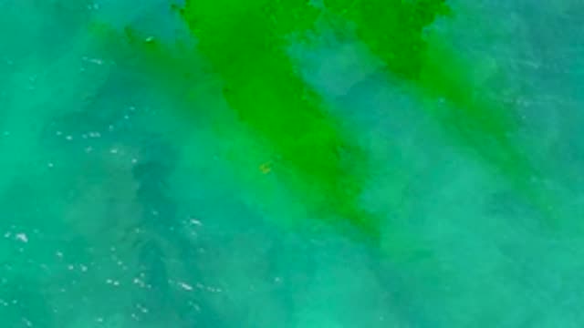 M12-20-0256-07-29-20-2020-shipwrecks-beach-bcs-mexico-DJI_0779_0010.mp4