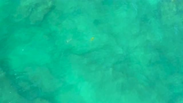 SHIPWRECKS BEACH BCS MEXICO-2020: Crystal Clear Water Rippled By The Wind And A